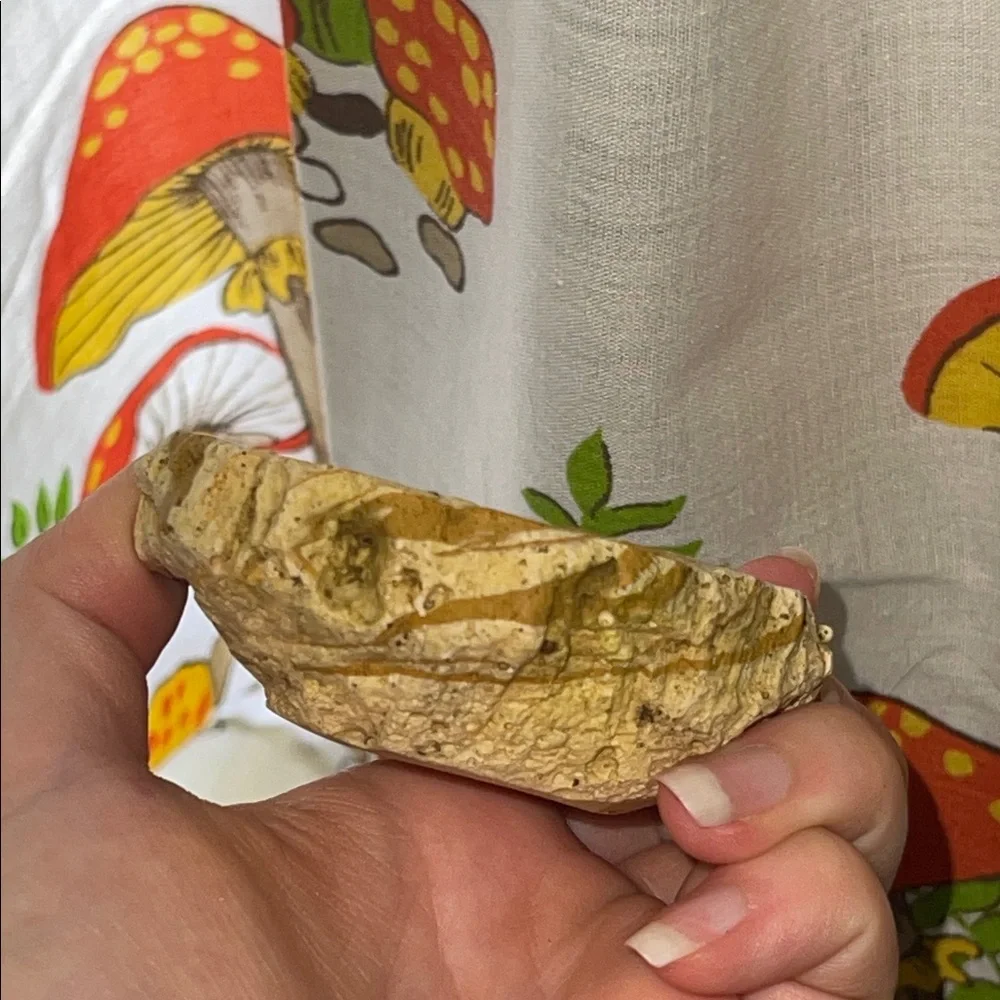 Reptile food or water dish Bowl and Log Accent